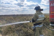 Сухостой горит около села в Улытауской области