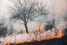 Степь на границе с Россией горела в Актюбинской области