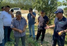 "Негде продавать экологически чистые продукты": мангистауские аграрии обратились к депутату