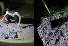 В навозе спрятал украденные деньги мужчина в Алматы