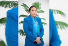 Должна быть жесткая исполнительная дисциплина по всей вертикали госструктур - общественница