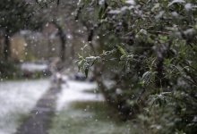 Дождь и мокрый снег прогнозируют на большей части Казахстана