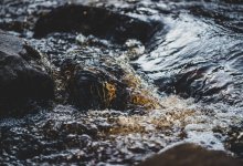 Сырость и зловоние в квартирах: нечистоты затопили территорию вокруг домов в Сатпаеве