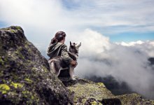 Двухлетняя девочка пропала в лесу. Ее нашли спящей на собаке