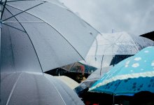 Сильные дожди пройдут на юге и юго-востоке Казахстана