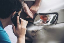 Водитель наехал на табун лошадей на трассе в ЗКО