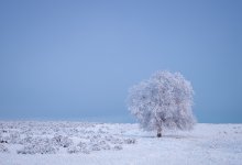 Дождь, снег и метель обещают метеорологи в Казахстане