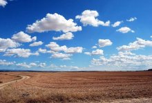 Земли на миллиард тенге забрали у частников за неисполнение обязательств в Шымкенте