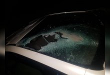 Водитель едва не врезался в табун лошадей на трассе в СКО