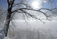 Дождь, снег и ветер прогнозируют в Казахстане