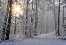 В Астане и 14 областях объявили штормовое предупреждение