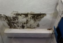 Плесень в квартирах угрожает здоровью актаусцев