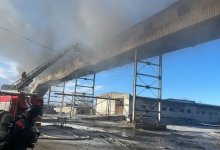 Девять газовых баллонов вынесли из пожара на заводе в Семее
