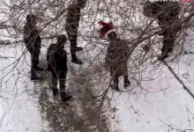 Пятеро подростков напали на школьника в Атырау
