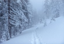 30-градусные морозы сменят метель в Казахстане