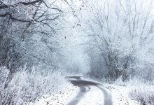 Снег, метель и ветер прогнозируют в Казахстане
