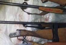 Браконьеры уничтожили 12 косуль на особо охраняемой территории в Павлодарской области