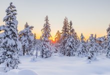 Погоду без осадков обещают в Казахстане