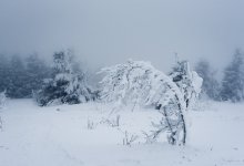 Штормовое предупреждение объявили в девяти областях Казахстана
