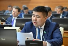"Правительство показало бесхребетность": депутат возмущен отсутствием нормы по кастрации педофилов