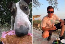 Необычный способ помощи бездомным животным придумал блогер из Актау