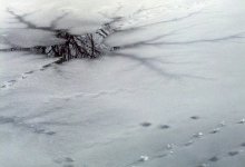 Ребенок провалился под лед в Кокшетау
