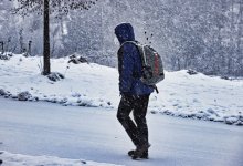 Часть школьников Казахстана перевели на дистанционку 14 февраля