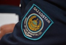 Стрелял в животное – в полиции Алматинской области прокомментировали видео