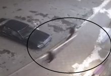 Вандалы в четвертый раз сломали шлагбаум в одном из ЖК Актау (ВИДЕО)