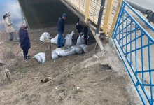 Онкобольные в зоне паводков получили лечение и медикаменты благодаря депутатам AMANAT
