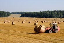 Ускорить передачу возвращенных земель под пастбища поручил Серик Жумангарин