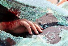 ДТП с грузовиками в Караганде: погибли люди и животные