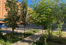 Конкурс на лучший двор проходит в Кызылорде