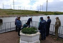 В МСХ прокомментировали информацию о гибели рыбы в Карагандинской области