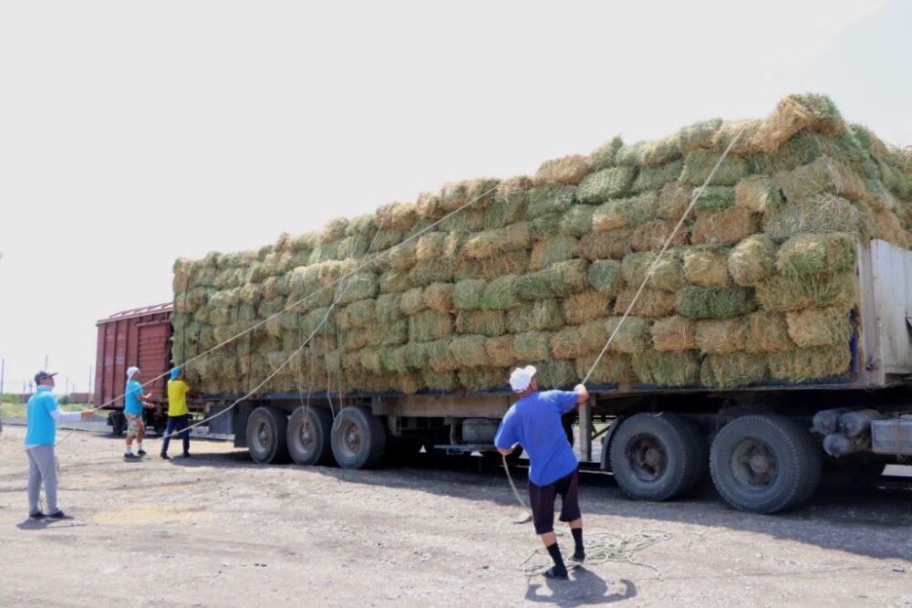 2 тонны сена. Muzlatgich 100 tonna.