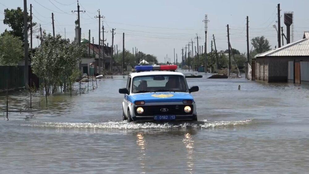 Наводнение в Туркестанской области: погибло 600 голов скота 1