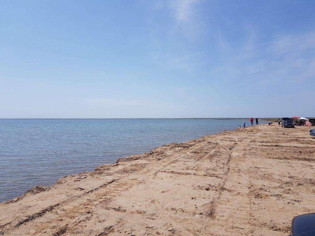 Дикий отдых