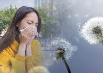 Как казахстанцам пережить аллергию летом. Советы врача