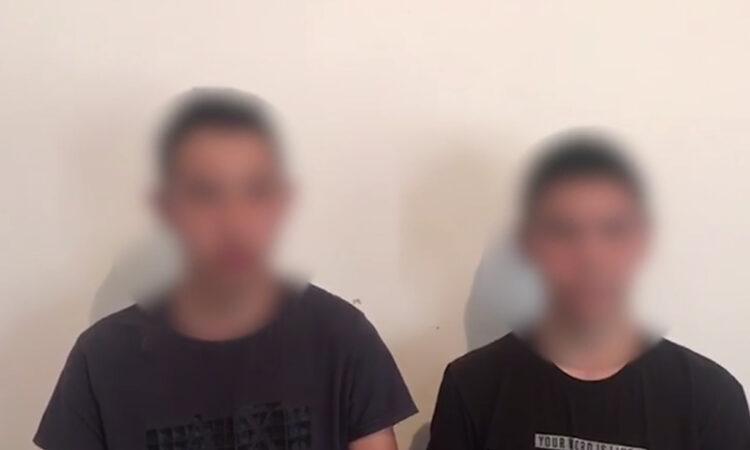 "Сделали это забавы ради" - поджигатели собаки в Алматинской области оказались школьниками 1