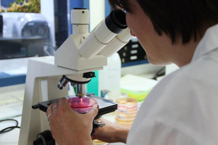 Шансов на коллективный иммунитет к коронавирусу больше нет, заявили вирусологи