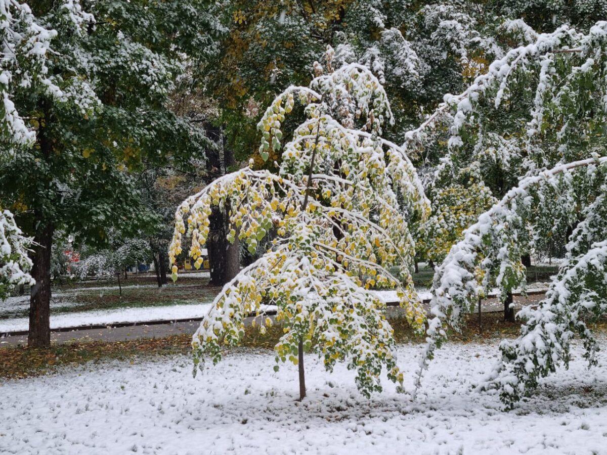 В Алматы выпал первый снег: фоторепортаж