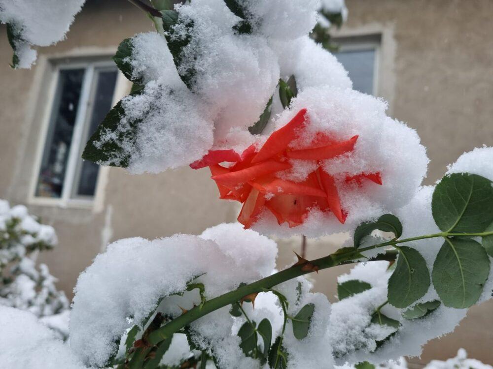 В Алматы выпал первый снег: фоторепортаж